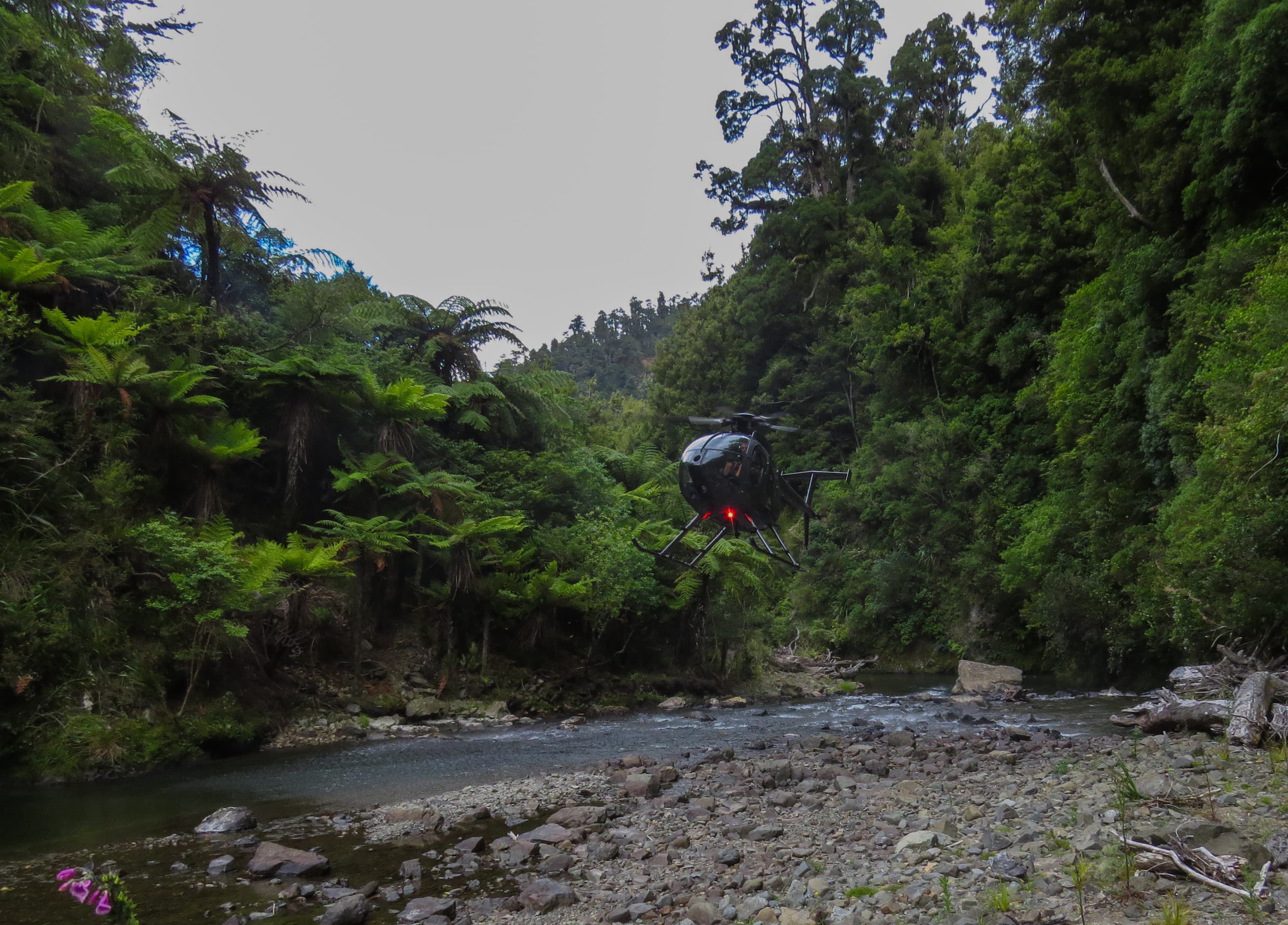 Trophy hunter fly fishing packages with helicopter back country NZ
