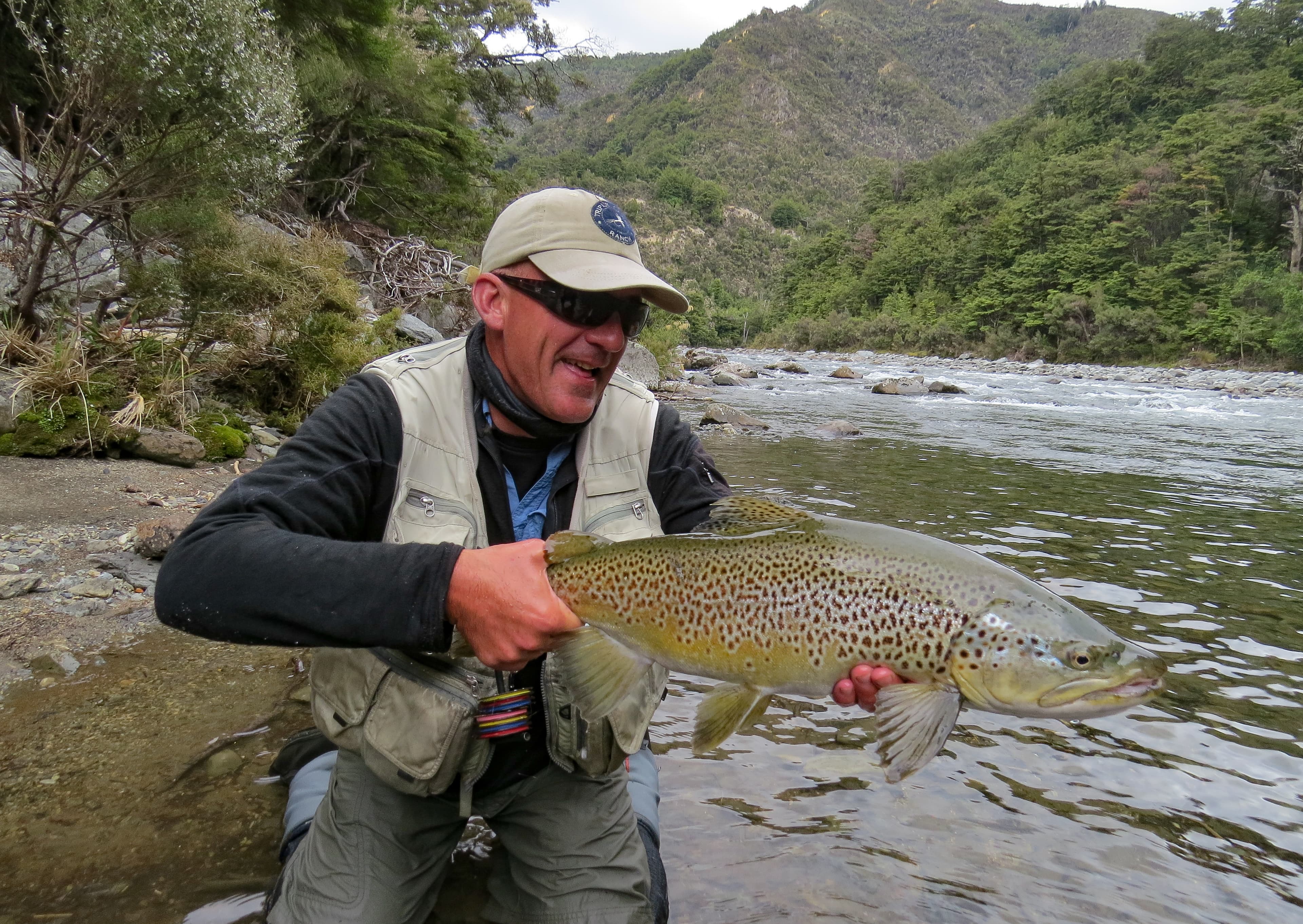 Beautiful rainbow trout caught on a guided fly fishing tour in Hawke's Bay