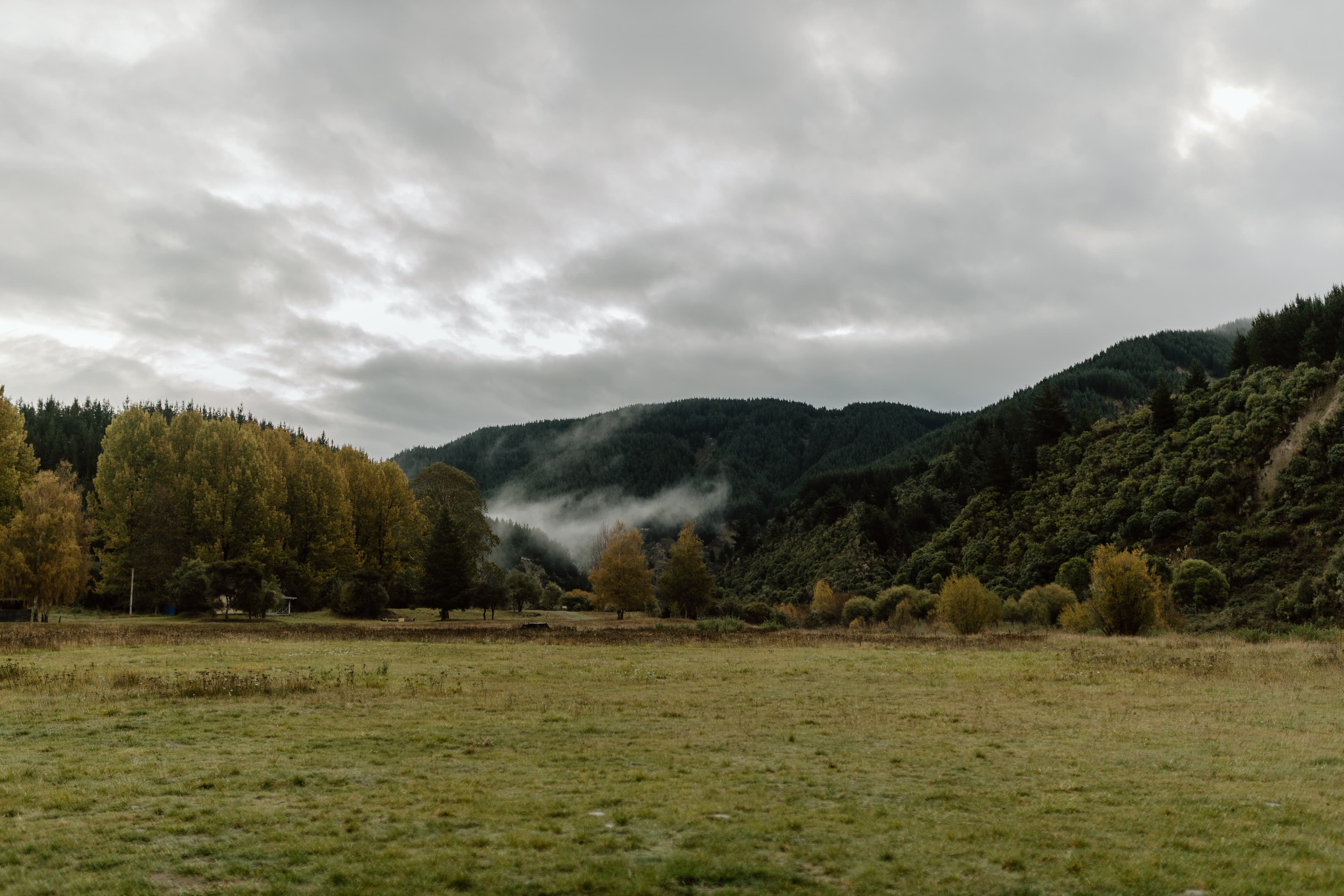 Beautiful farmland for a rural wedding in Hawke's Bay NZ
